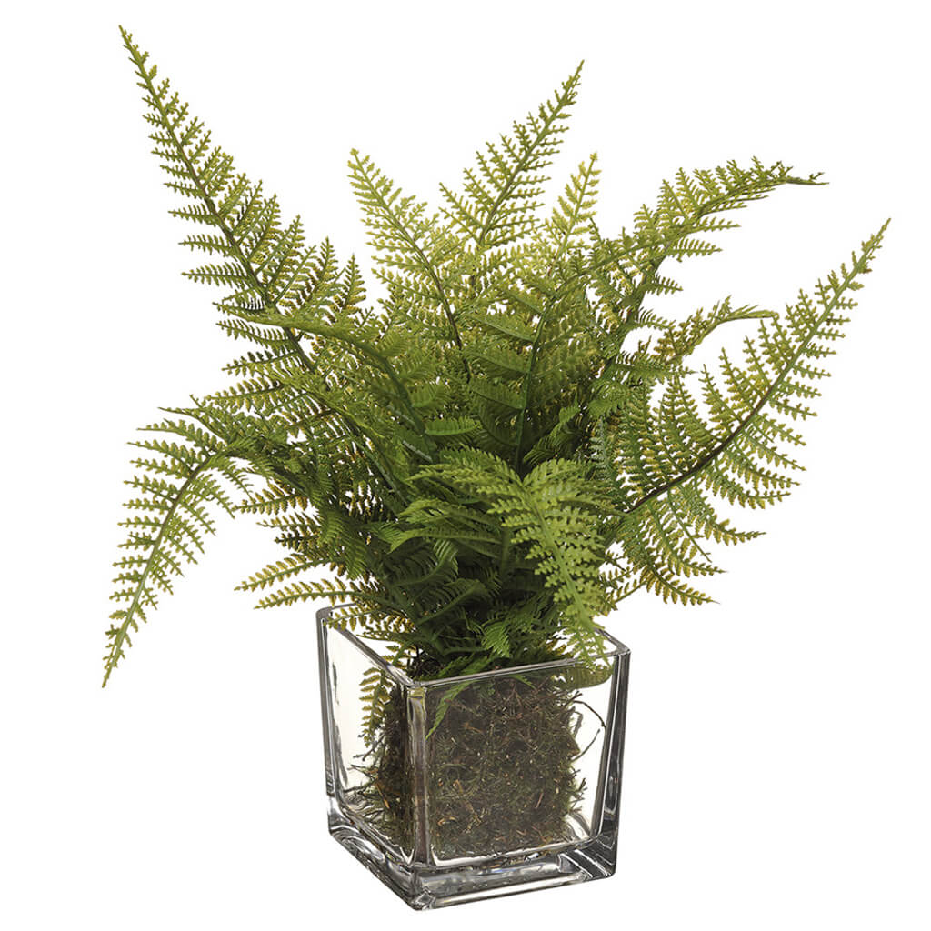 Leather Fern in Glass Vase Green, 8in