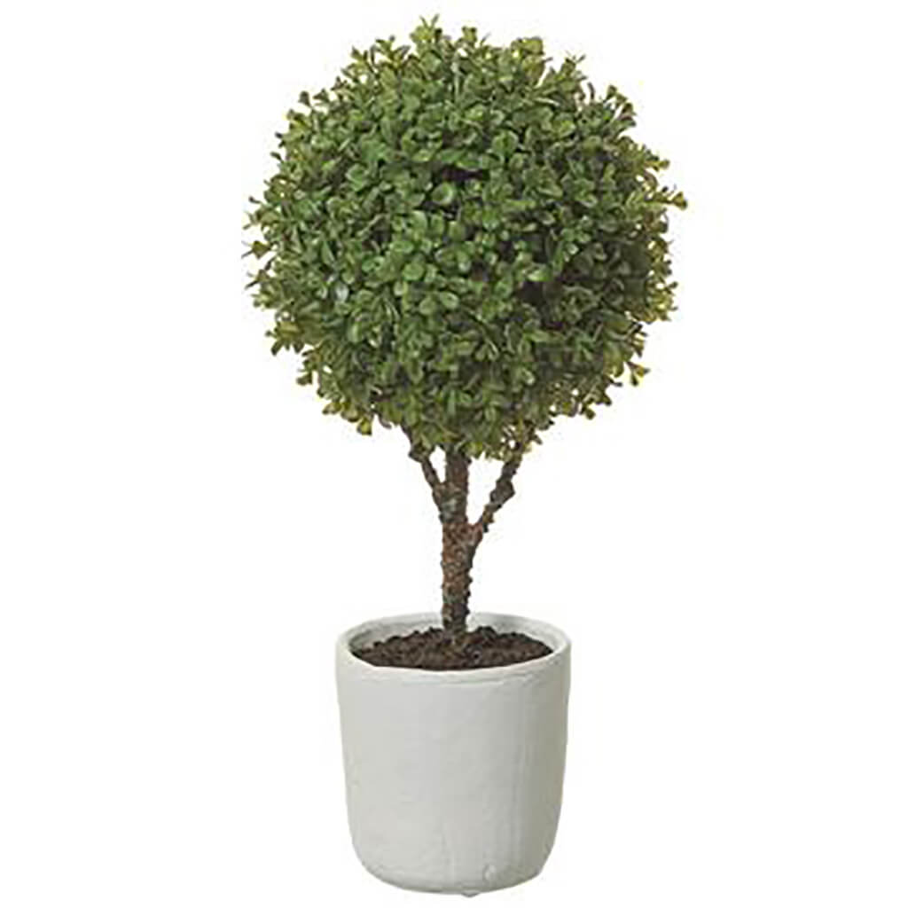 Boxwood Ball Topiary in Clay Pot Green, 22in