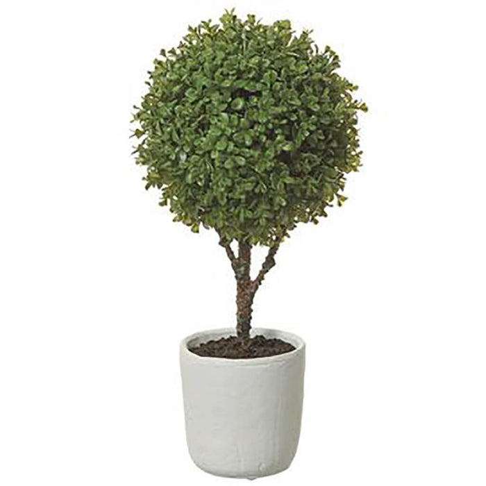 Boxwood Ball Topiary in Clay Pot Green, 22in