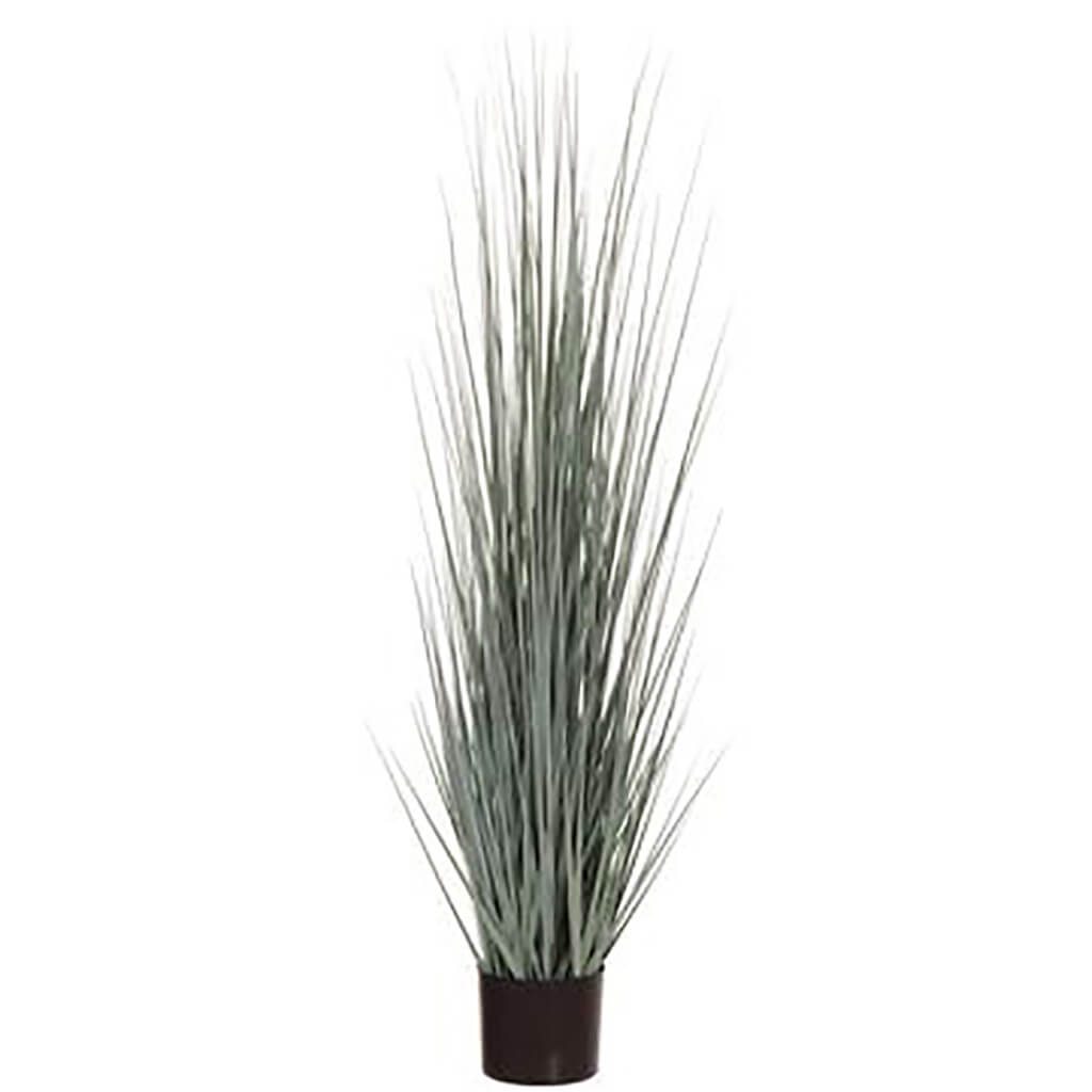 Grass in Plastic Nursery Pot Green Gray, 48in