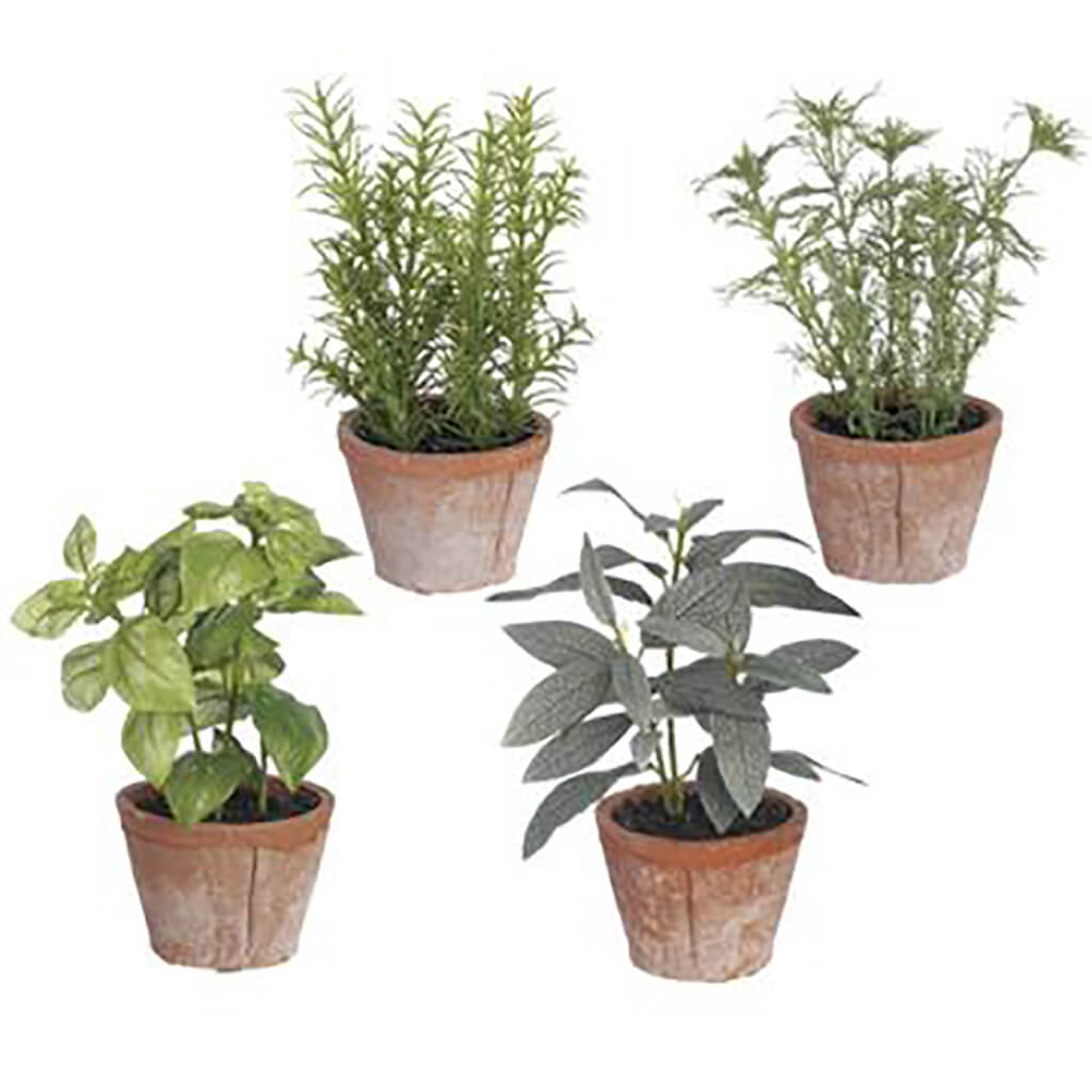 Herb in Clay Pot (4ea/set)Green Gray, 7.5in