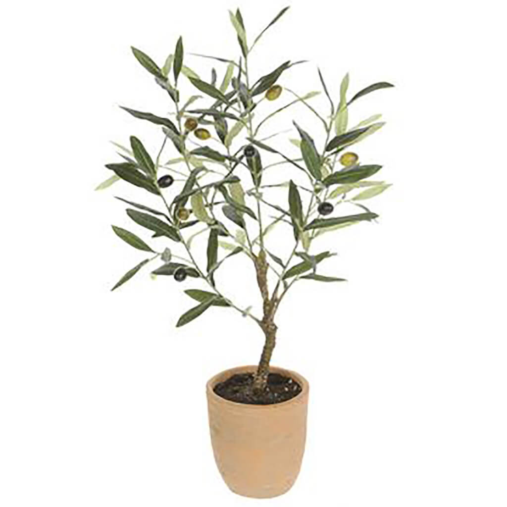 Olive Tree in Cement Pot Green, 26in