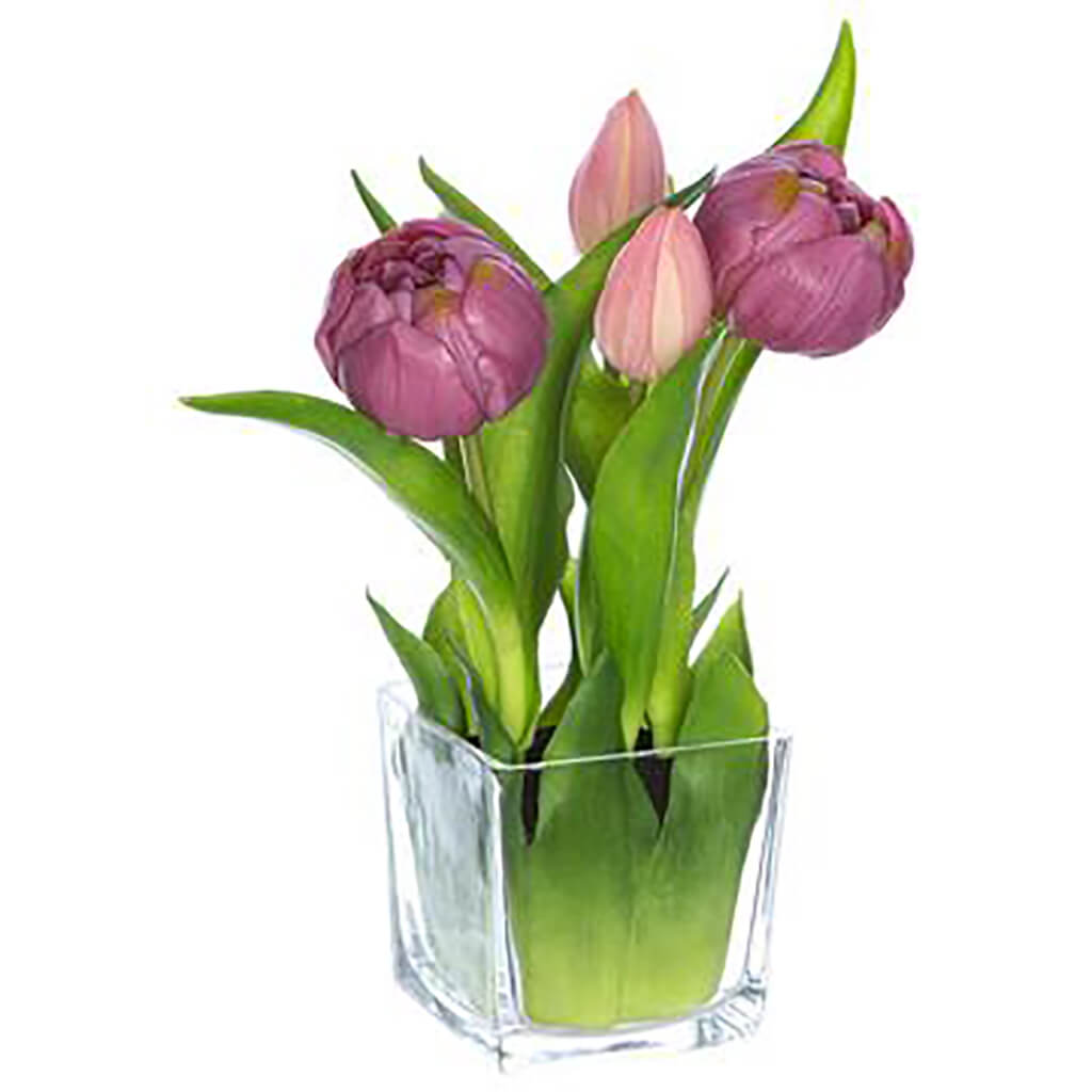 Tulip in Glass Vase Purple, 9in