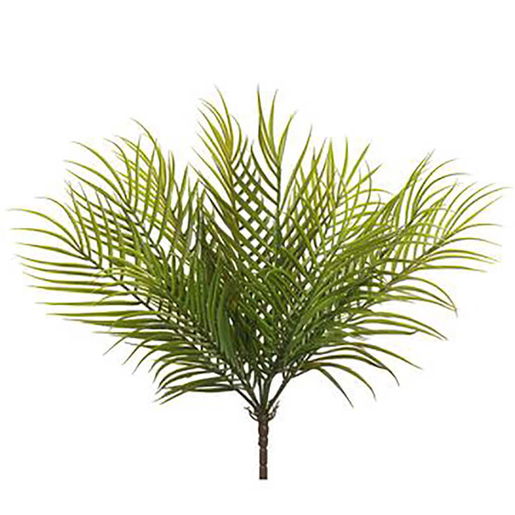 Palm Bush Green, 19in