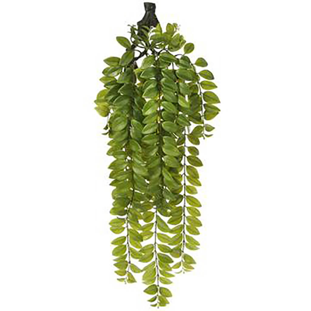 Lipstick Vine Hanging Decor Green, 34in