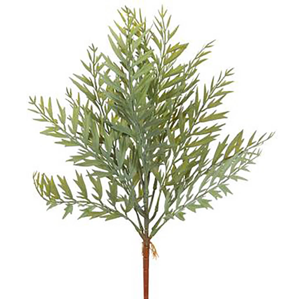 Fern Bush Green Gray, 18in