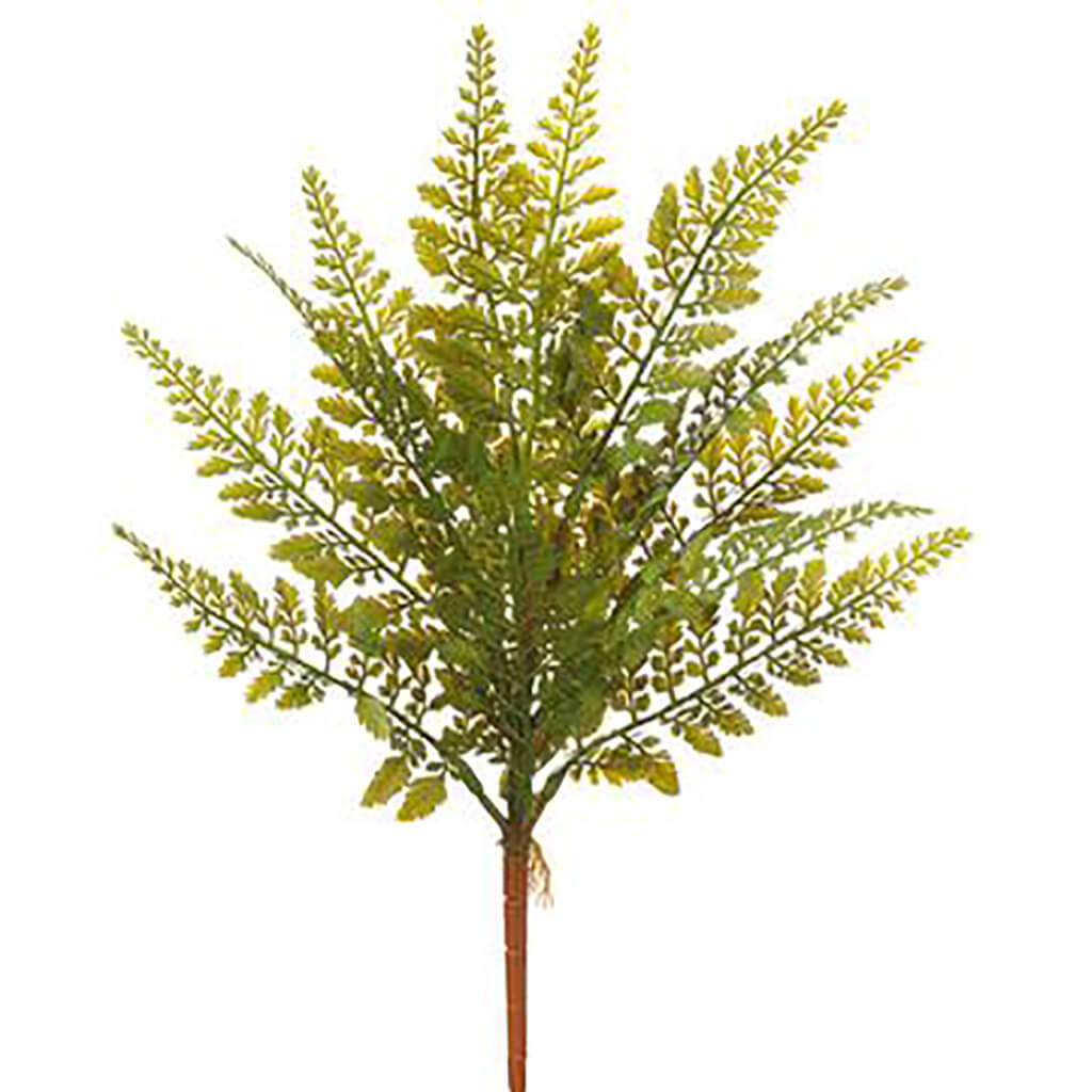 Fern Bush Green, 17in