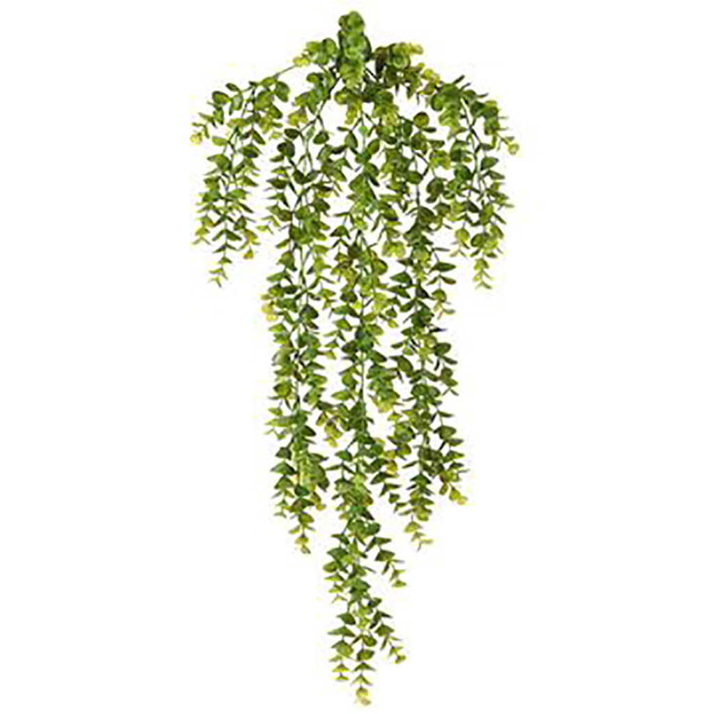 Boxwood Hanging Bush Green, 32in