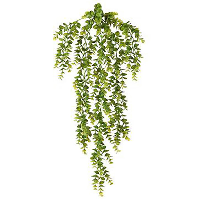 Boxwood Hanging Bush Green, 32in