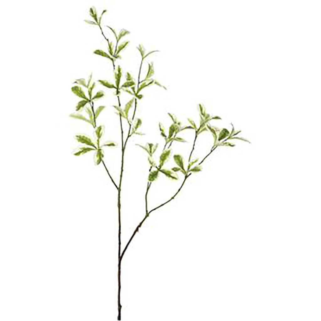 Terminalia Mantaly Leaf Spray 35.5in Green Variegated