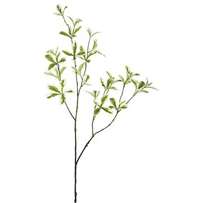 Terminalia Mantaly Leaf Spray 35.5in Green Variegated