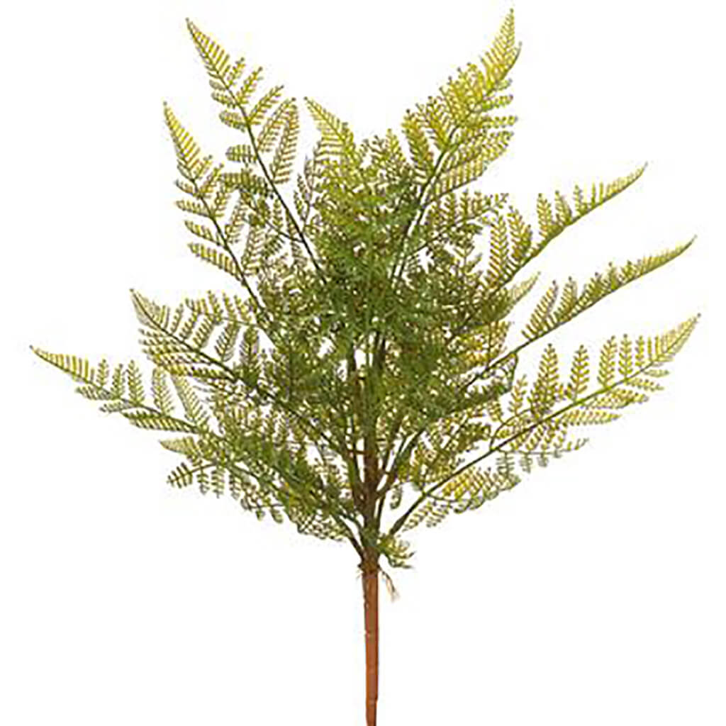 Fern Bush Green, 17in