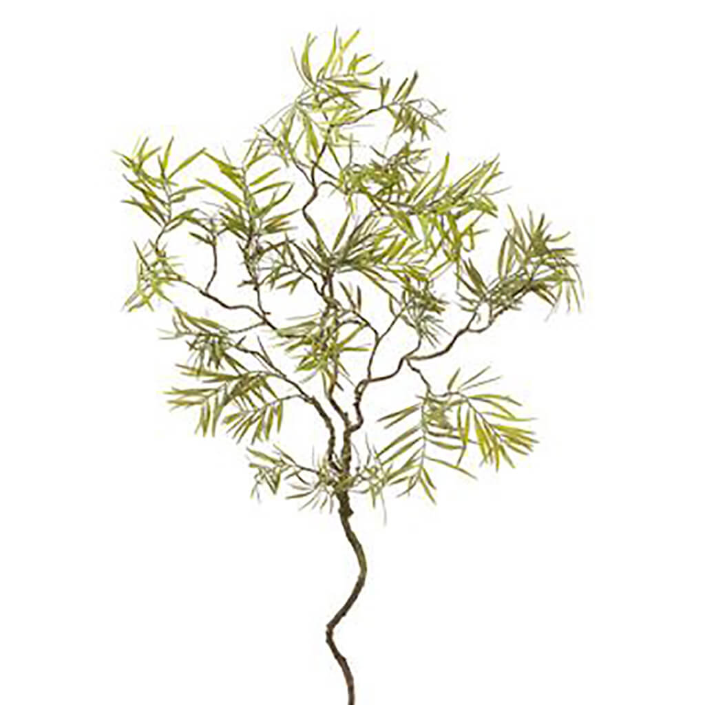 Water Willow Leaf Spray 44in Green