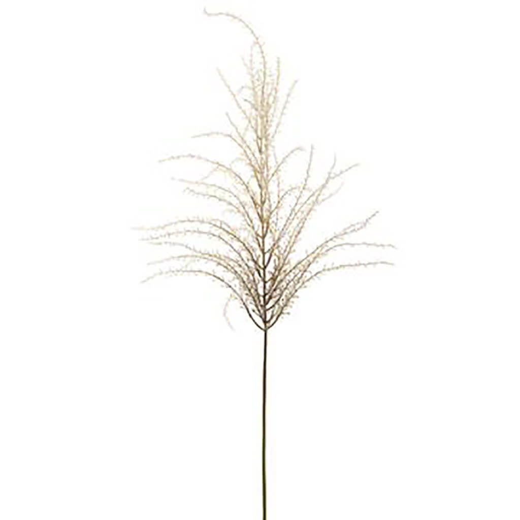 Reed Grass Spray Beige, 57in