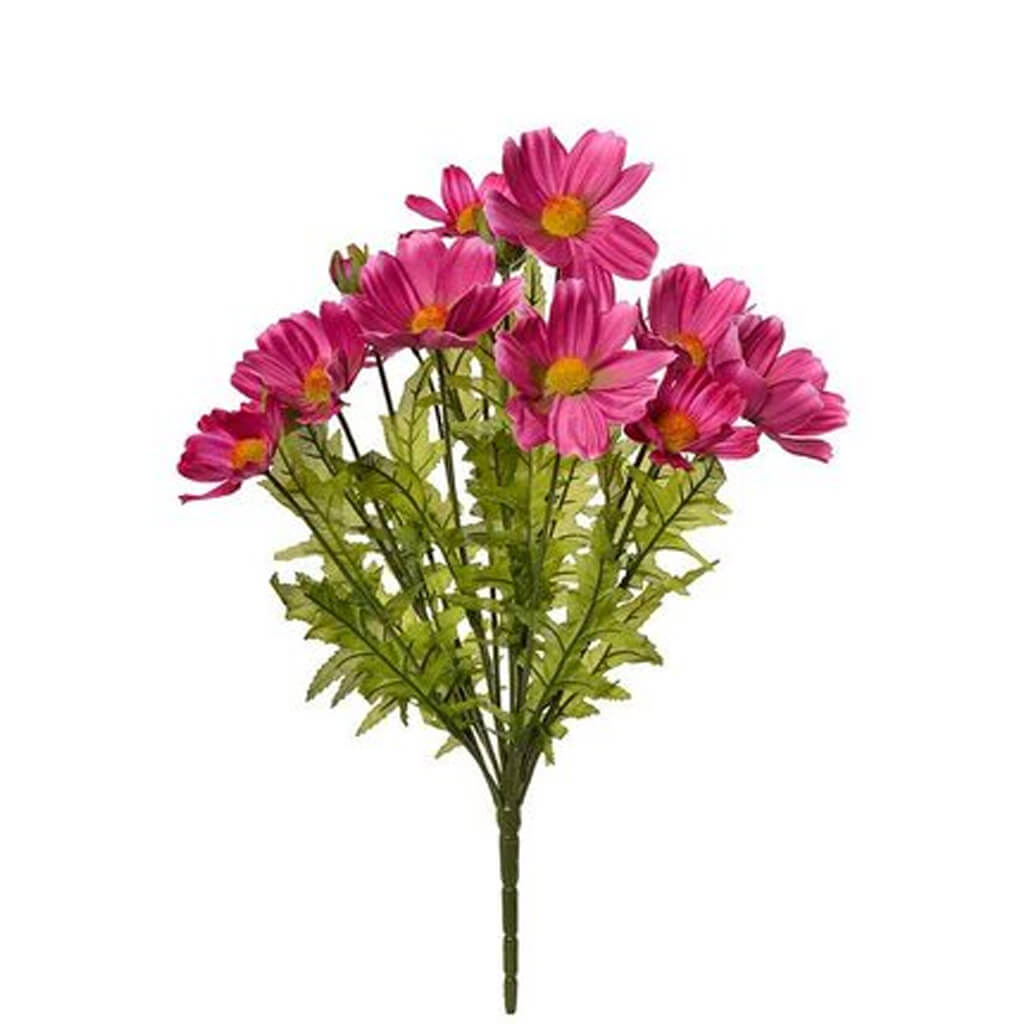 Silk Cosmos Bush Orchid 18in