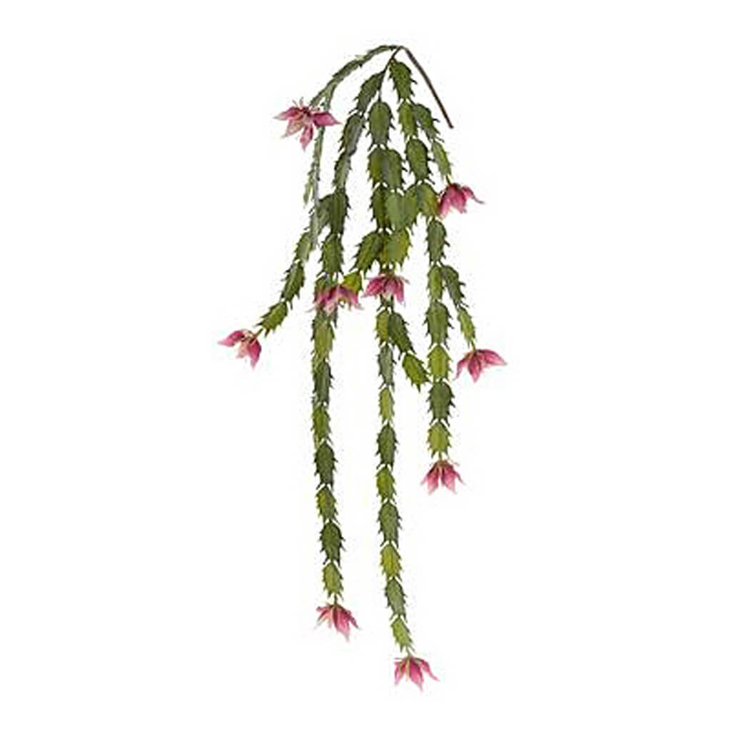 Blooming Cactus Hanging Spray 38in Boysenberry,