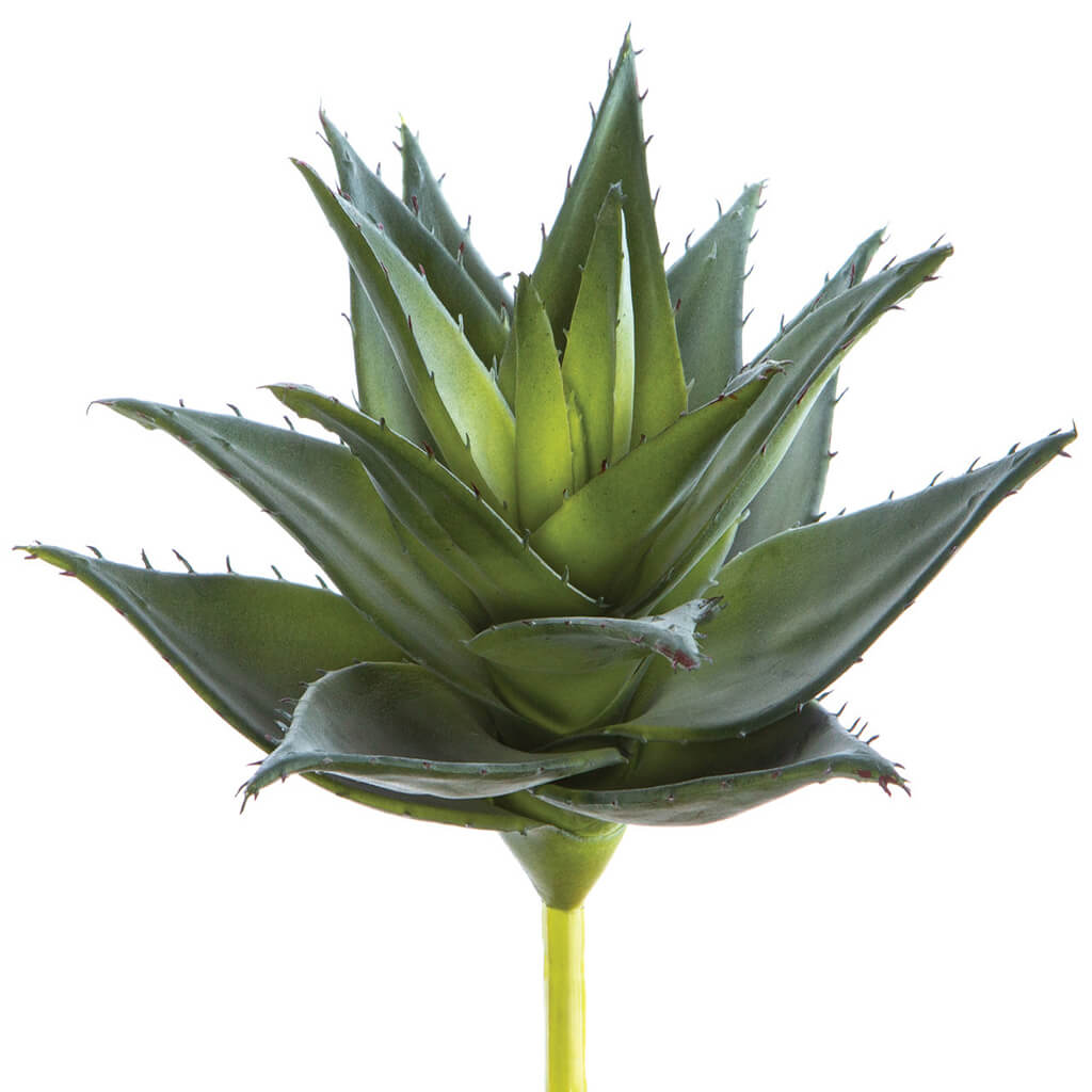 Soft Touch Agave Plant Green 8.5in