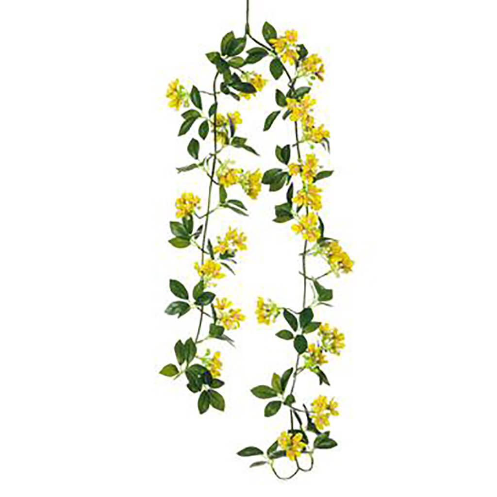 Old Fashioned Weigela Hanging Vine Yellow, 33in