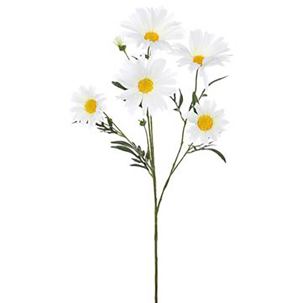 Aster Daisy Spray 28in White