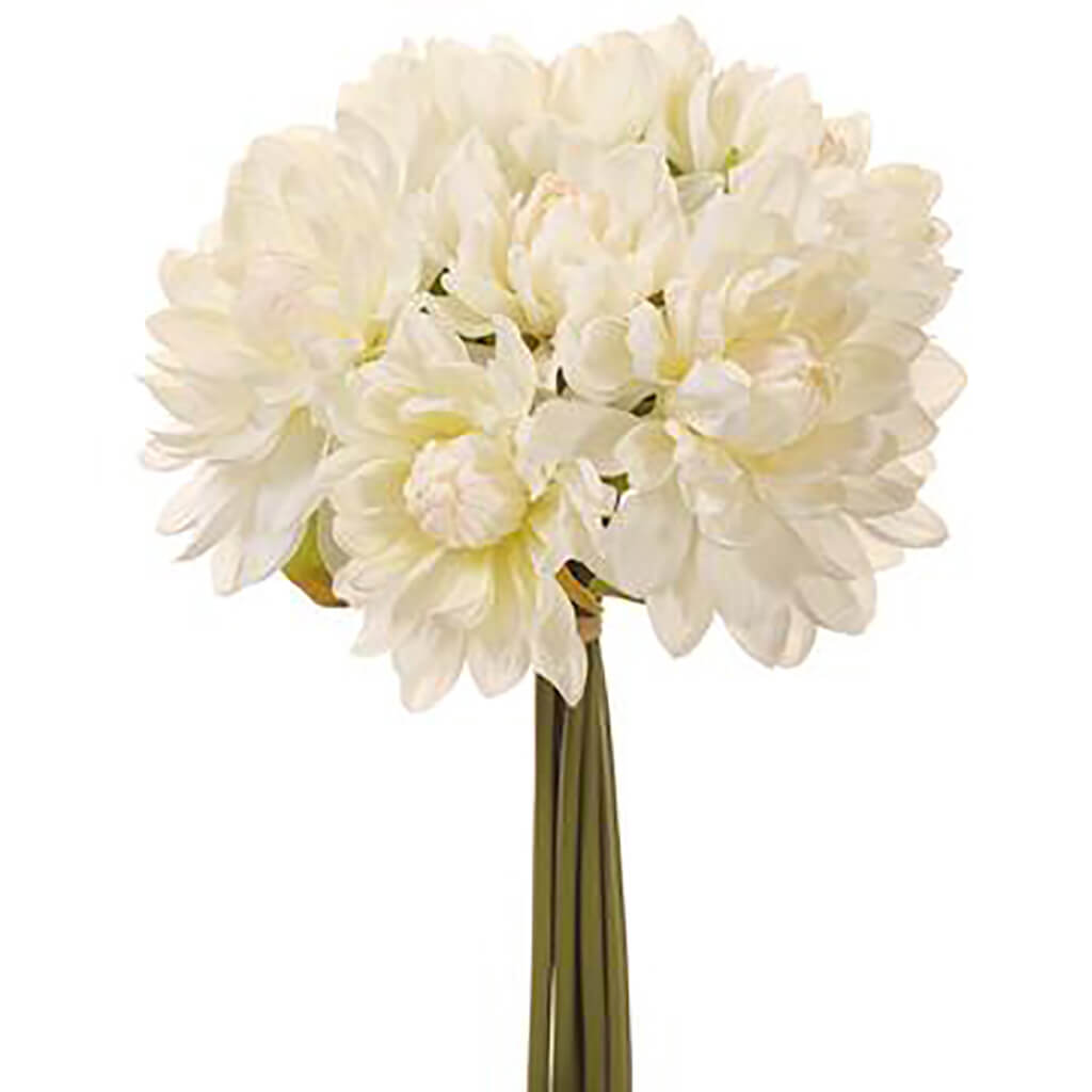 Dahlia Bundle White, 11in