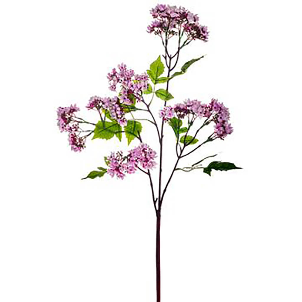 Bouvardia Spray 32in Lavender