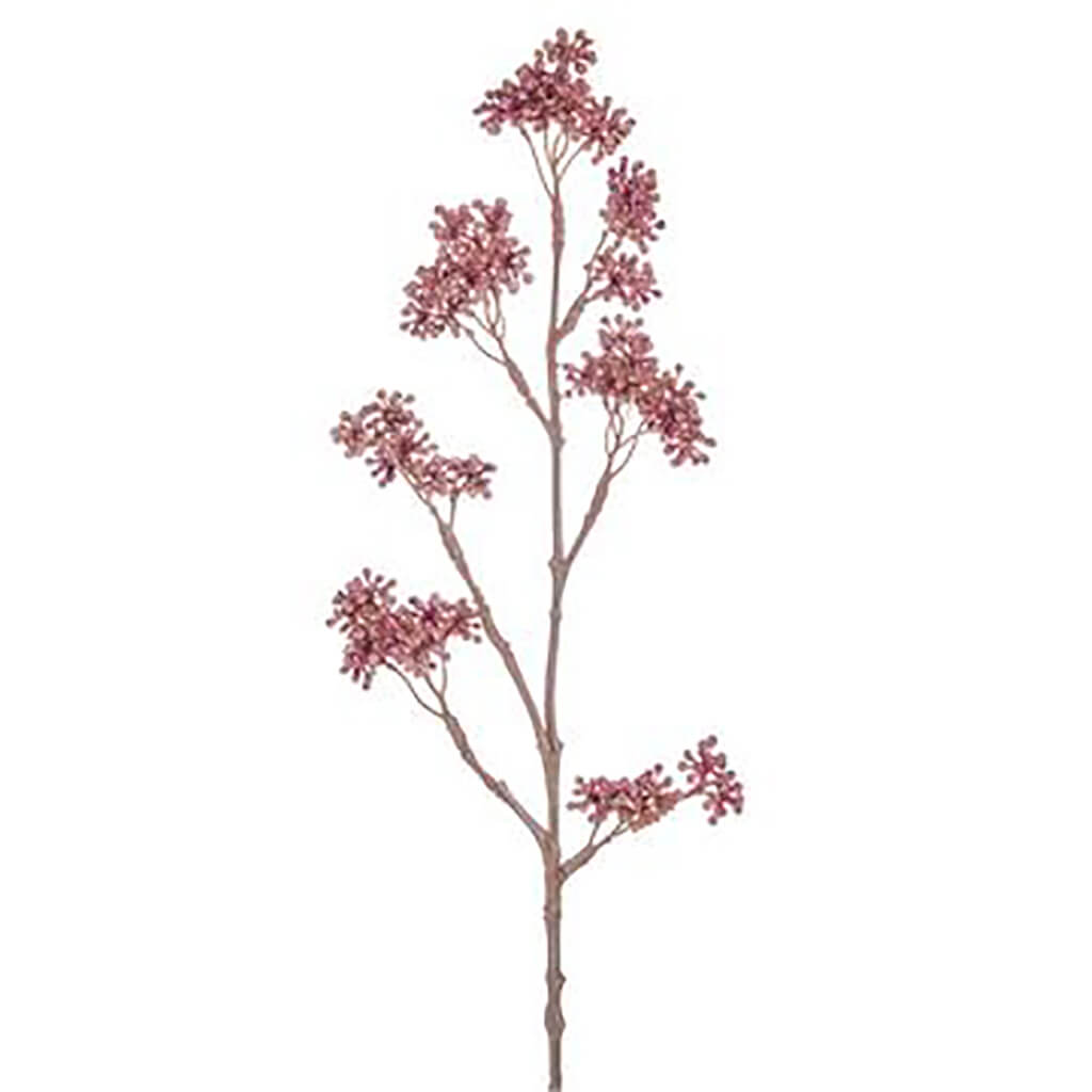 Callicarpa Seed Spray 17in Pink Cream