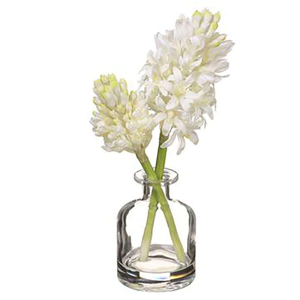 Hyacinth in Glass Vase White, 10.5in