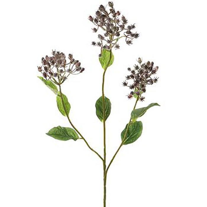 Hypericum Berry Spray 31in Purple