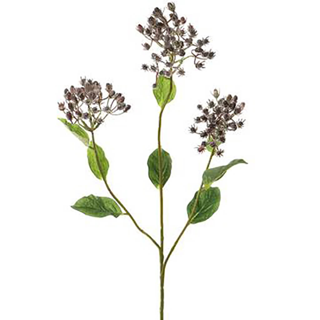 Hypericum Berry Spray 31in Purple