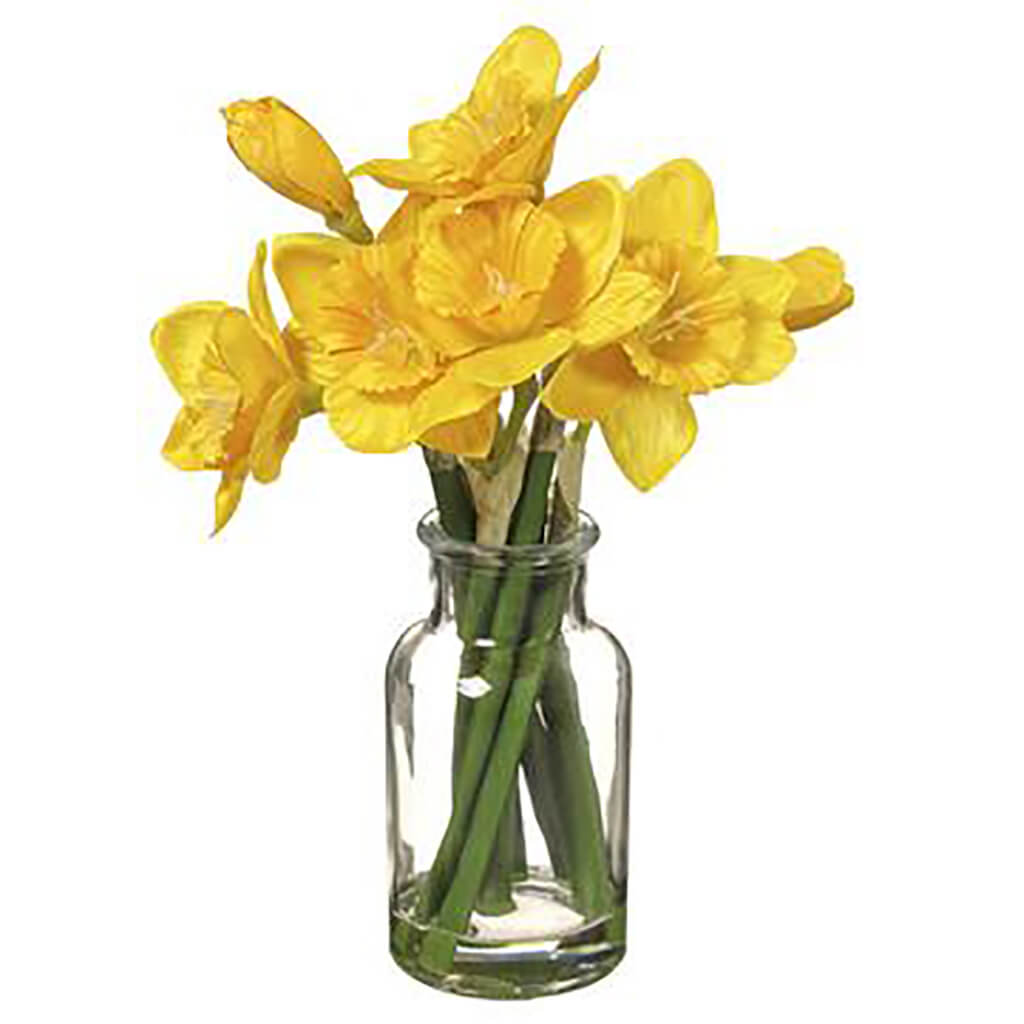 Daffodil in Glass Vase Yellow, 10in