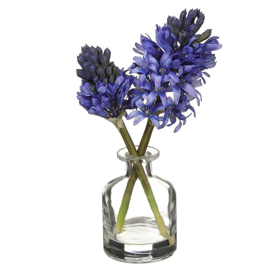 Hyacinth in Glass Vase Blue, 10.5in