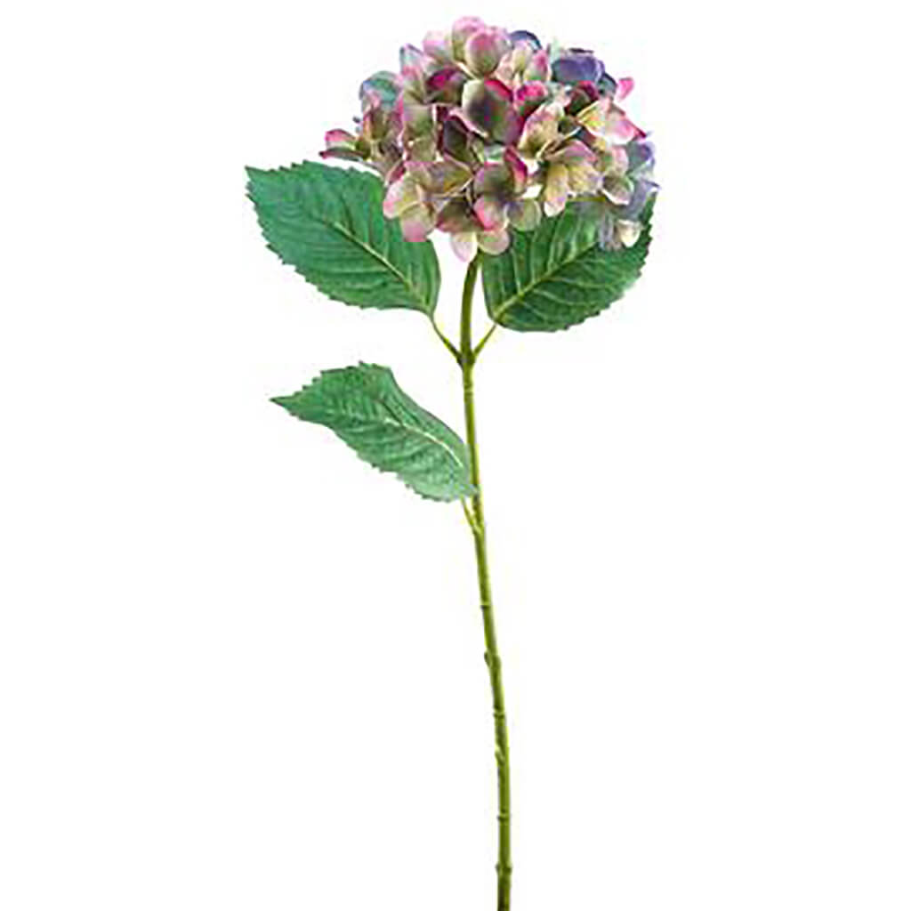 HYDRANGEA SPRAY 31&quot;  BOYSENBERRY PURPLE