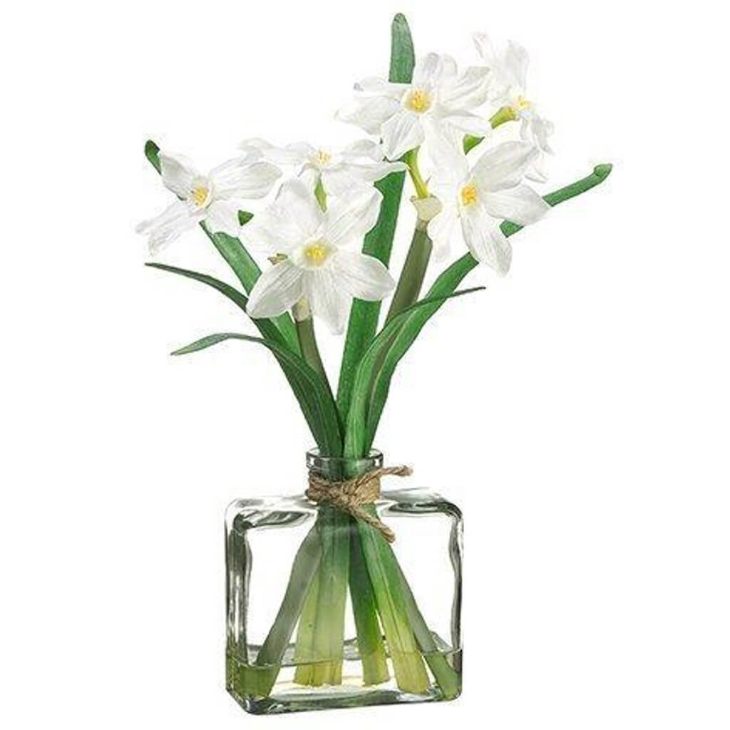 Narcissus In Glass Vase White 12in