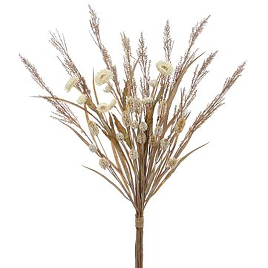 Dry Look Strawflower Mixed Bundle Cream, 30in