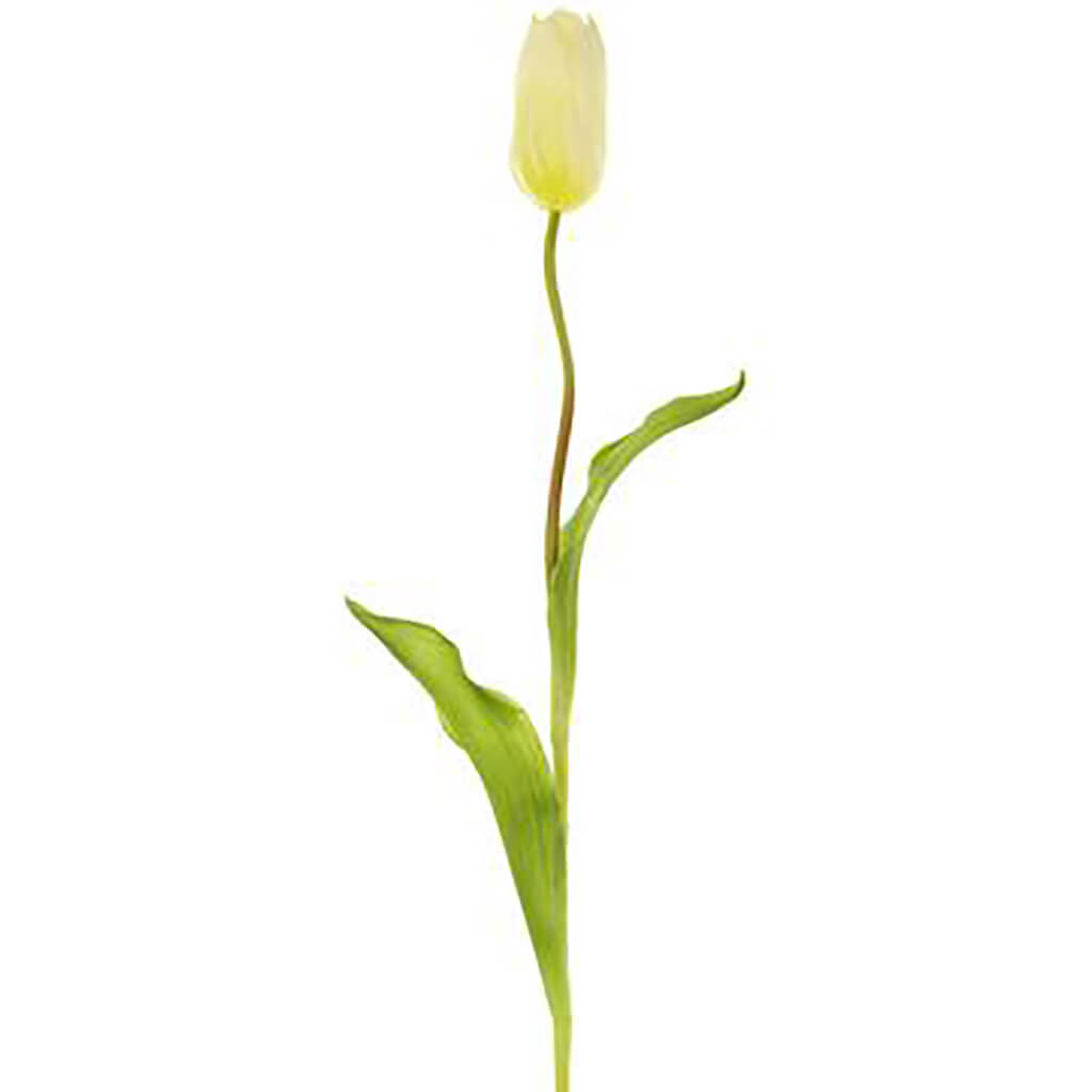 French Tulip Spray White, 18.75in