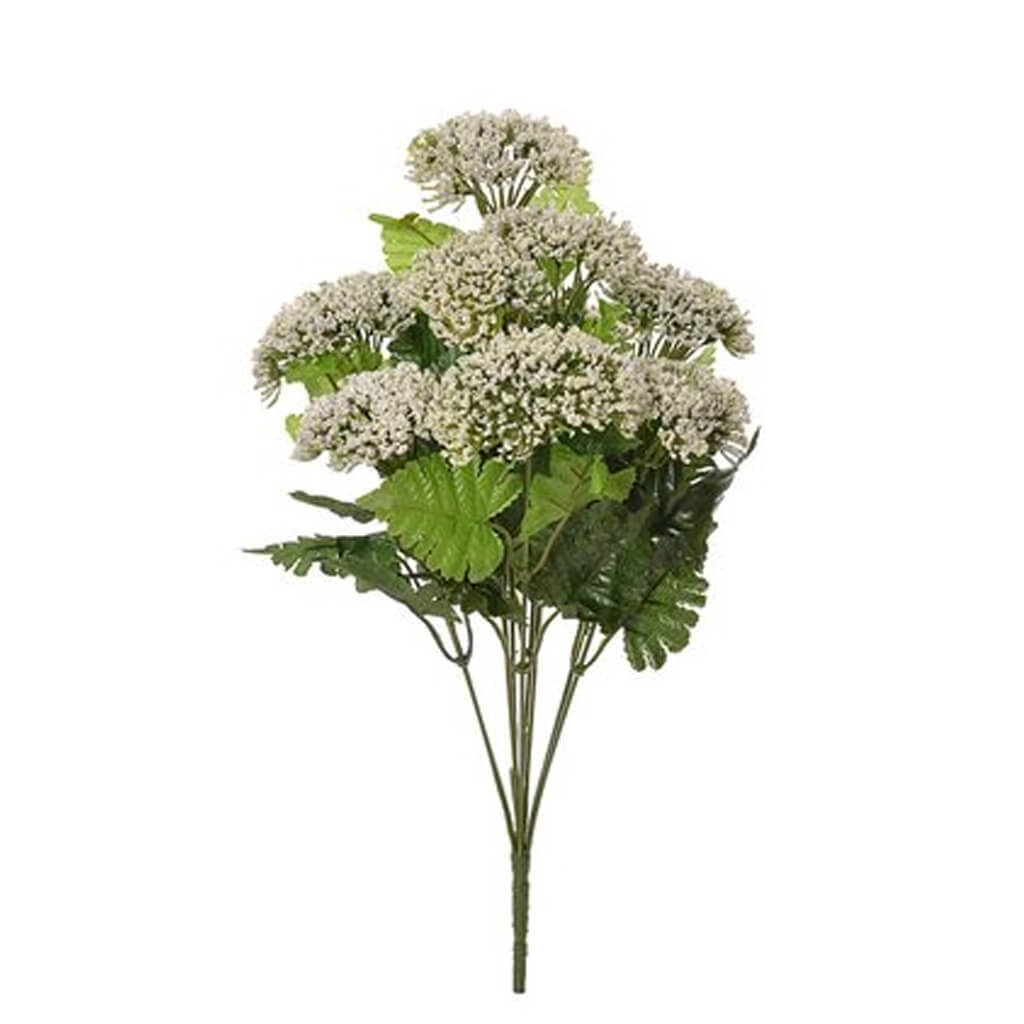 Queen Anne&#39;s Lace Bush x9 White, 18in