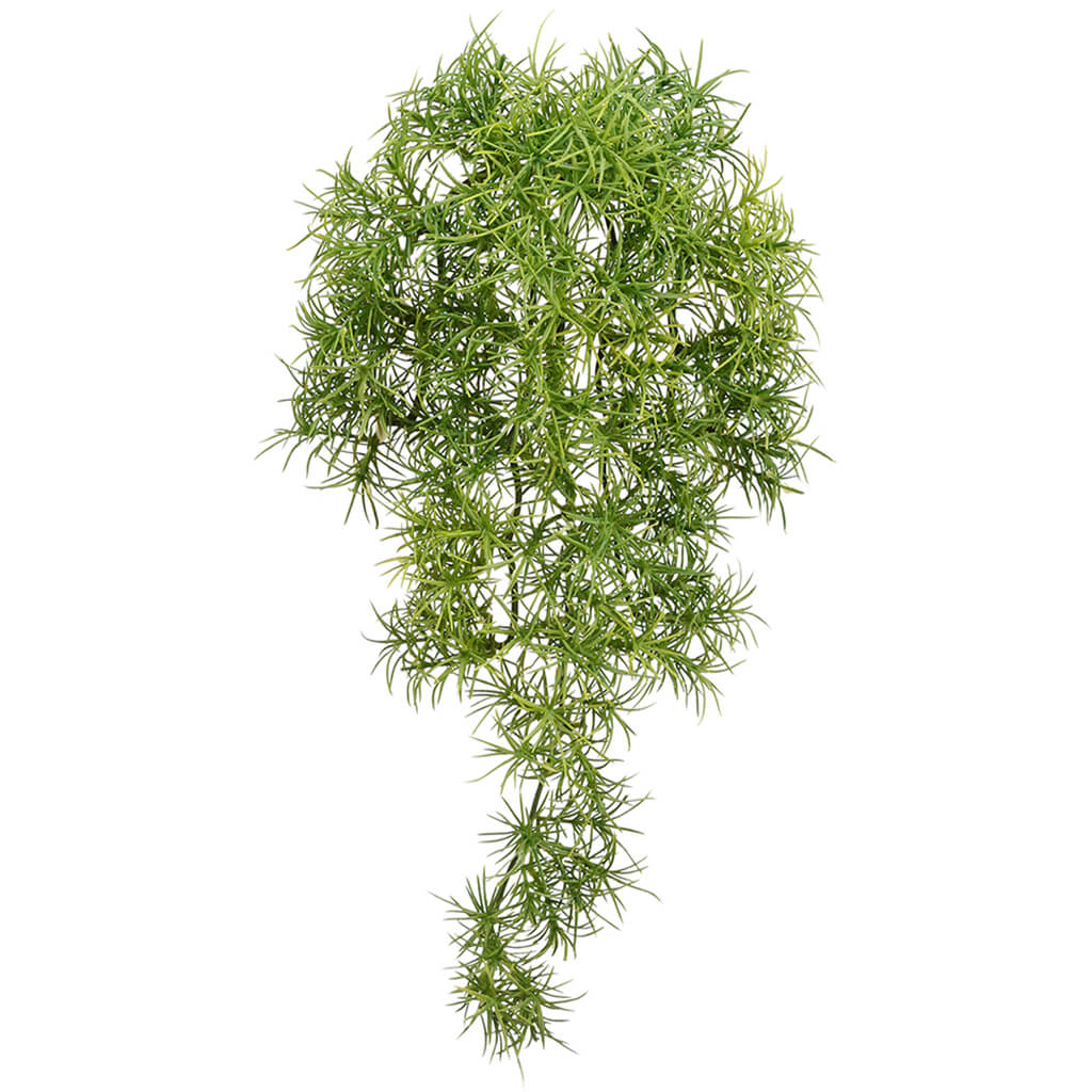 Moss Hanging Bush Green, 13in