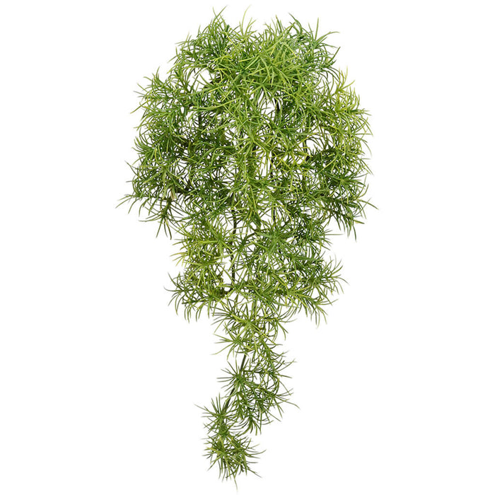 Moss Hanging Bush Green, 13in