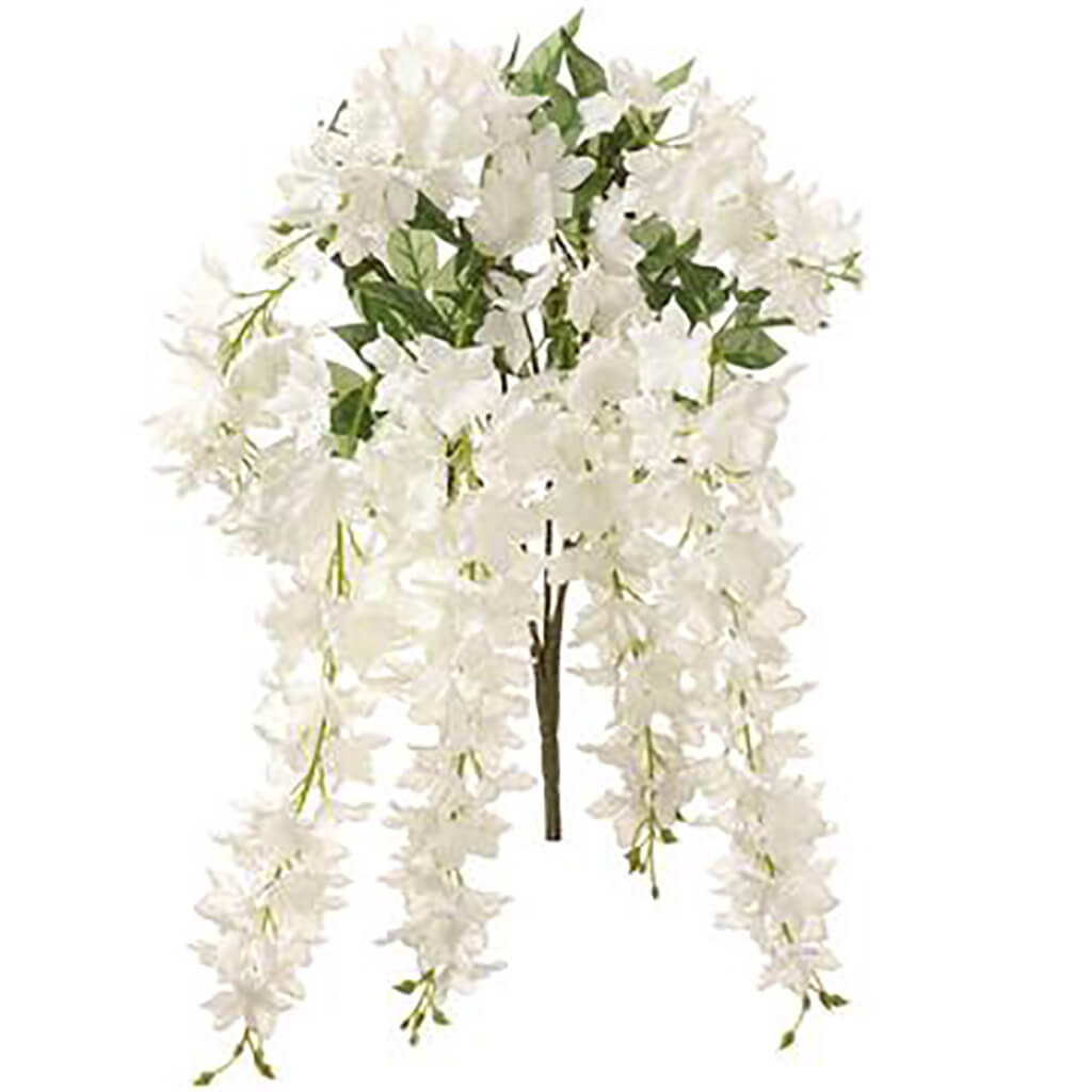 Delphinium Hanging Bush x7 White, 34in