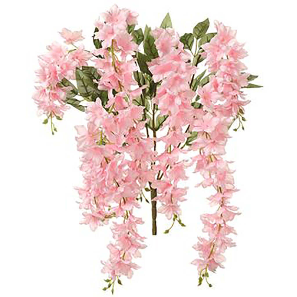 Delphinium Hanging Bush x7 Pink, 34in