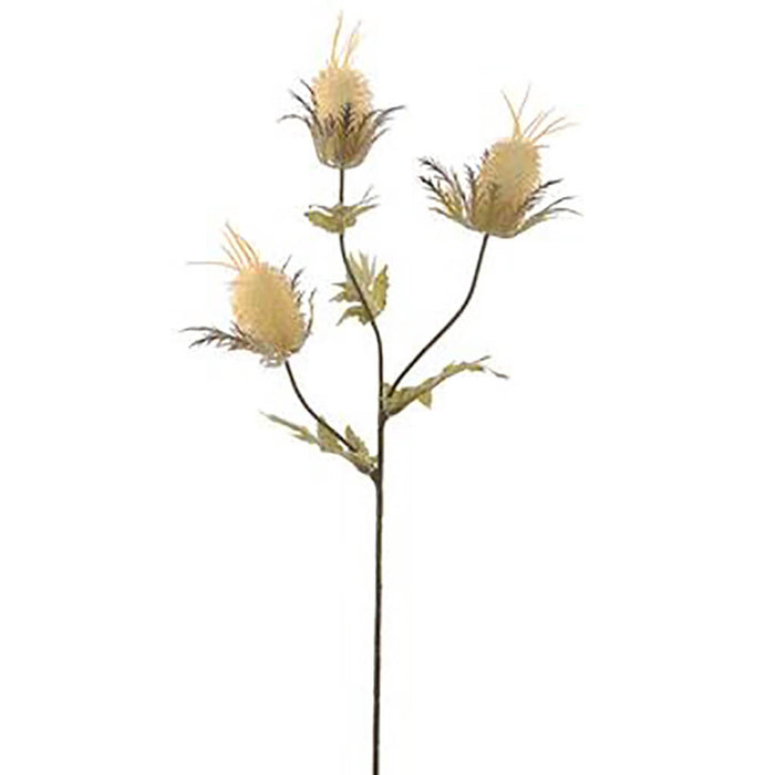 Thistle Spray 26in Beige