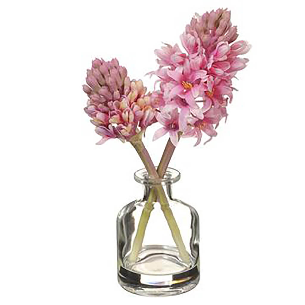 Hyacinth in Glass Vase Pink, 10.5in