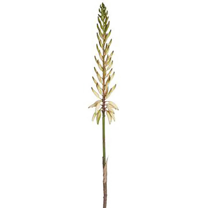 Agave Flower Spray 28in White Green