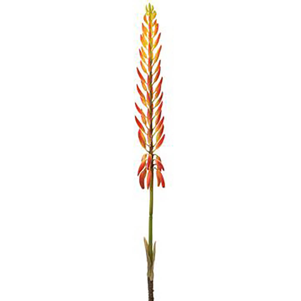 Agave Flower Spray 28in Two tone Orange