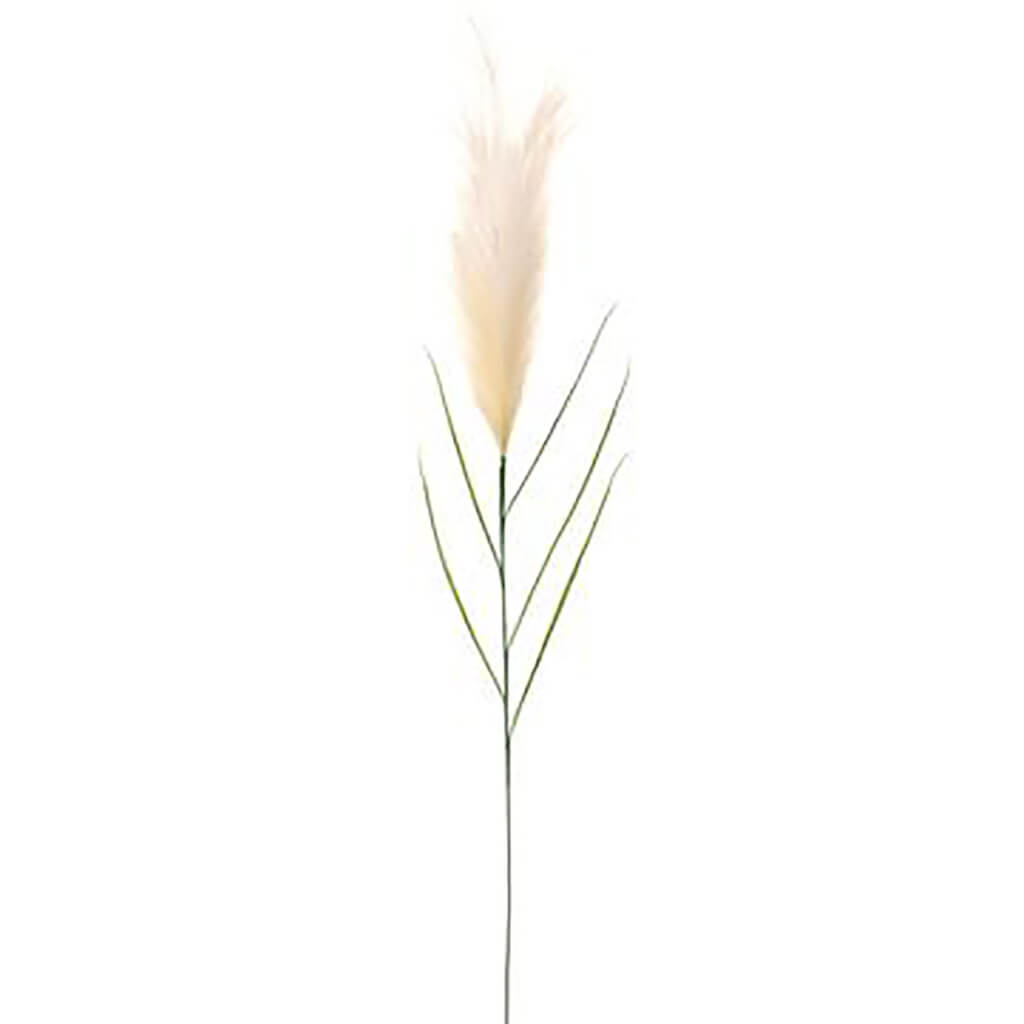 Pampas Grass Spray 72in Cream
