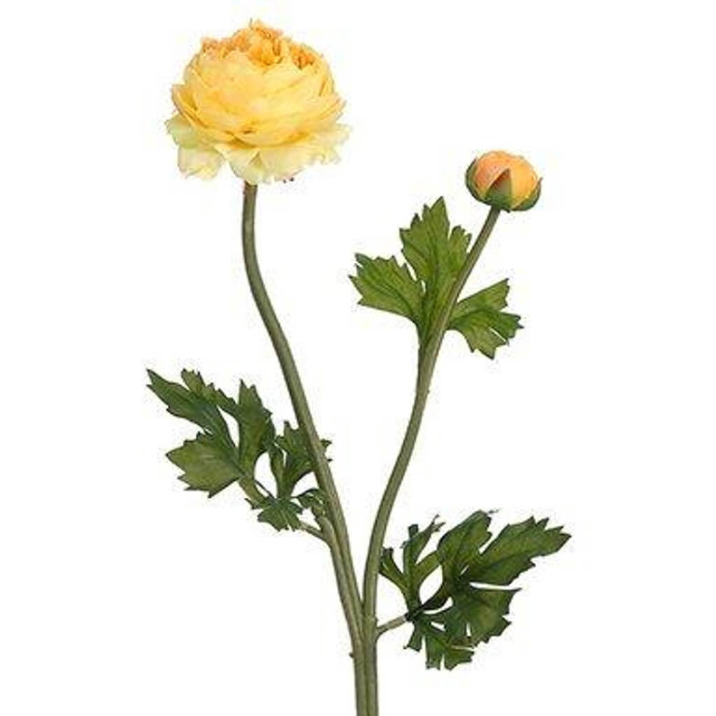 Ranunculus Spray 18.9in Yellow