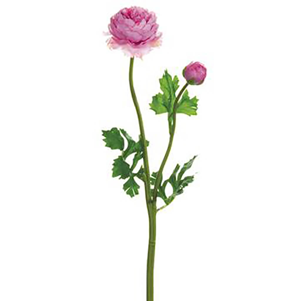 Ranunculus Spray 18.9in Pink