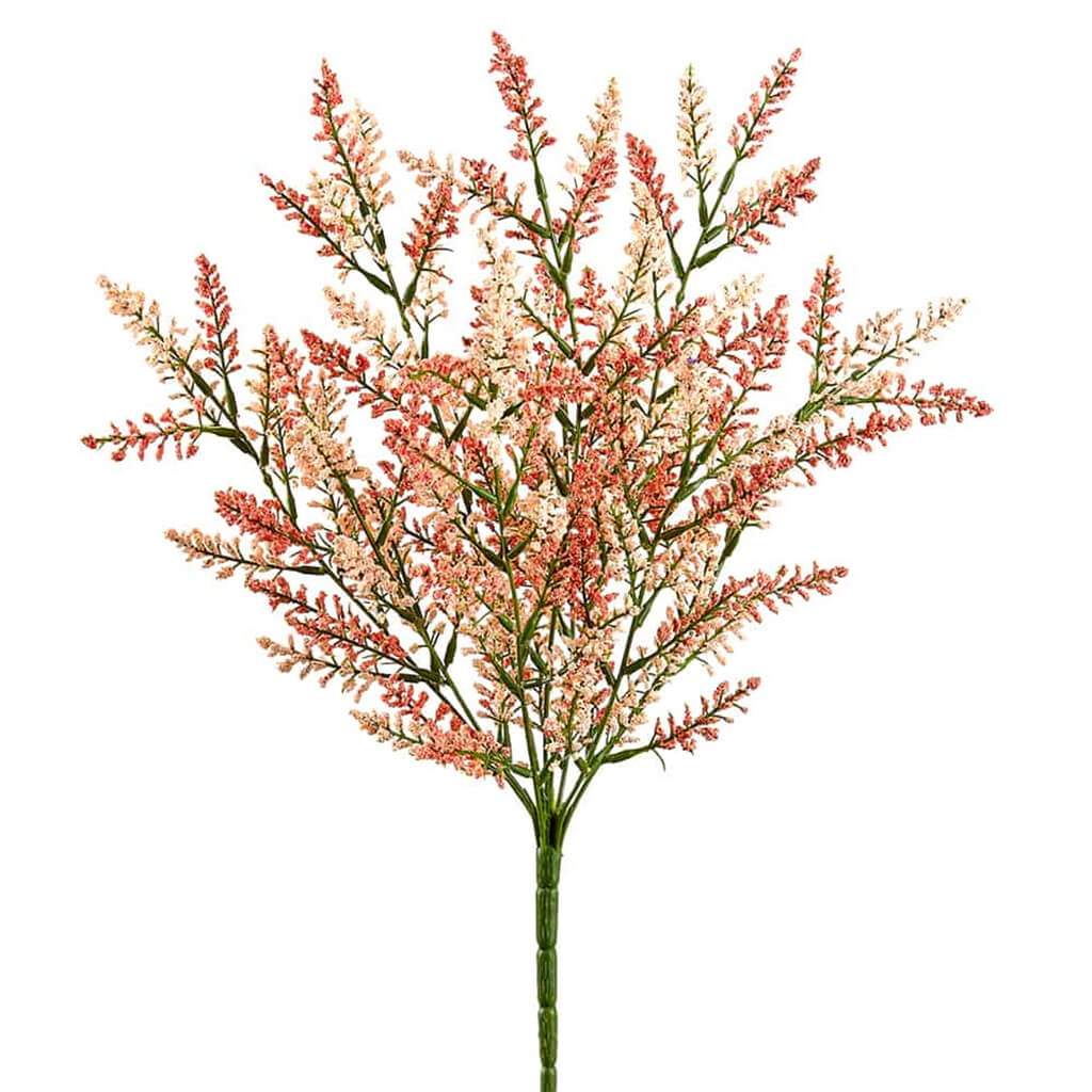 Astilbe Bush X9 Two Tone Coral 20in