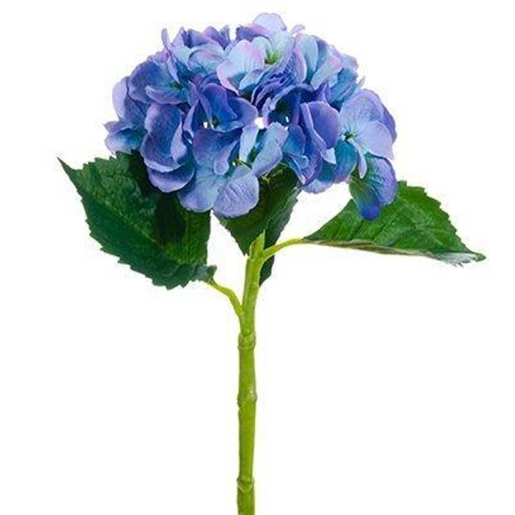 Large Single Hydrangea Spray w/Water-Resistant Stem Two Tone Helio, 19in