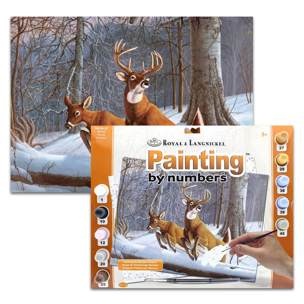 Paint By Number Adult White Tails